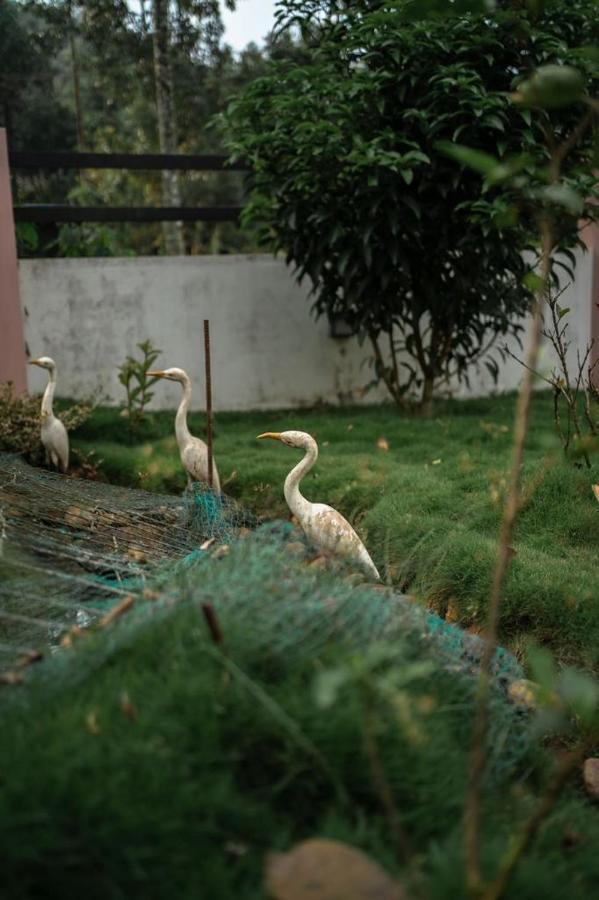 Vythiri Villas Wayanad Buitenkant foto