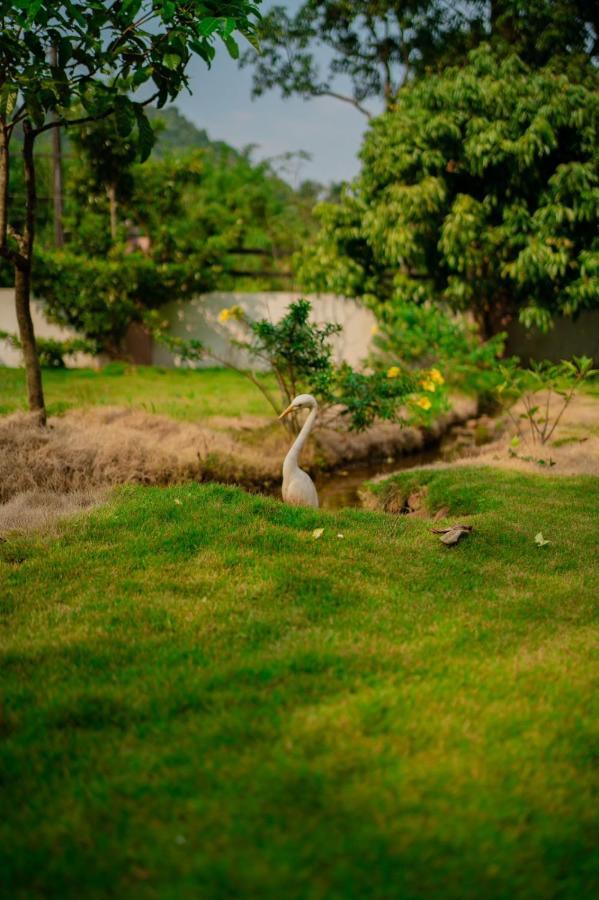 Vythiri Villas Wayanad Buitenkant foto
